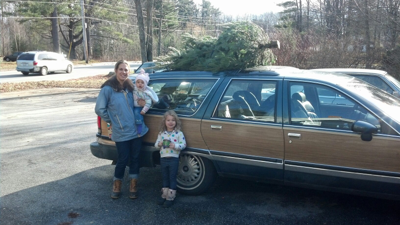 Illustration for article titled Oppo Question - Best looking cars with a tree on top?
